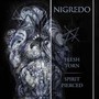 Flesh Torn - Spirit Pierced - Nigredo