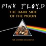 Dark Side Of The Moon - Orchard Chamber Orchestra