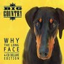 Why The Long Face: 4CD Deluxe Expanded Boxset - Big Country