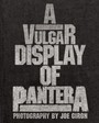 A Vulgar Display Of Pantera - Pantera