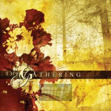 Accessories -Rarities & B-Sides - The Gathering