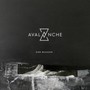 Avalanche - D. Maassen