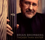 Thicker Than Water - Brian Bromberg