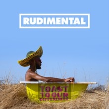 Toast To Our Differences - Rudimental