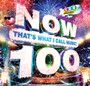 Now That's What I Call Music 100 - Now That's What I Call Music 100  /  Various