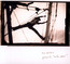 Radio Amor - Tim Hecker