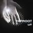 Gift - Taproot
