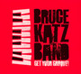 Get Your Groove - Bruce Katz