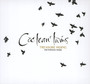 Treasure Hiding - The Fontana Years - Cocteau Twins