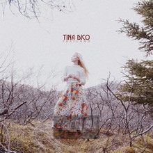 Fastland - Tina Dico