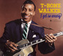 I Get So Weary/Singing The Blues - T Walker -Bone