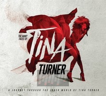 Many Faces Of Tina Turner - Tribute to Tina    Turner 
