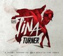 Many Faces Of Tina Turner - Tribute to Tina    Turner 