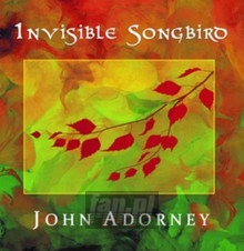 Invisible Songbird - John Adorney