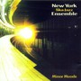 Minor Moods - New York Ska Jazz Ensembl