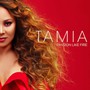 Passion Like Fire - Tamia