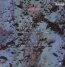Mind: The Perpetual Intercourse - Skinny Puppy
