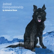 Animal Companionship - Advance Base