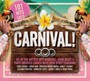 101 Carnival - 101 Carnival  /  Various