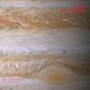 Voyager - Warren Greveson