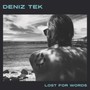 Lost For Words - Deniz Tek