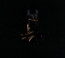 I Loved You At Your Darkest - Behemoth I Loved You At Your Darkest - Behemoth
