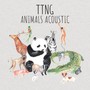 Animals Acoustic - TTNG
