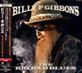 The Big Bad Blues - Billy F Gibbons 