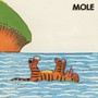 Danger Island - Mole
