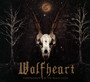 Constellation Of The Blac - Wolfheart