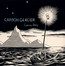 Carbon Glacier - Laura Veirs