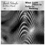 What Light There Is Tells Us Nothing - Janek Schaefer