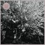 Parallel Universe Blues - Papercuts Parallel Universe Blues - Papercuts
