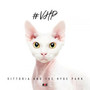 #VHP - Vittoria & The Hyde Park
