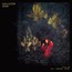 Aviary - Julia Holter