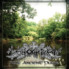 Ancient Pulse - Nechochwen Ancient Pulse - Nechochwen
