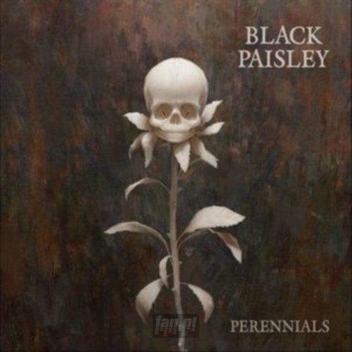 Perennials - Black Paisley