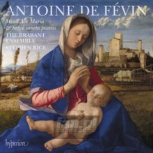 Fevin: Missa Ave Maria Missa Salve Sancta Parens - Brabant Ensemble  / Stephen  Rice 