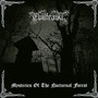 Mysteries Of The Nocturnal Forest - Evilfeast