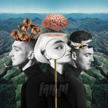 What Is Love? - Clean Bandit - powiększ What Is Love? - Clean Bandit