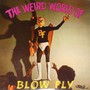 The Weird World Of Blow Fly - Blowfly