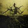 Rareform (10 Year) - After The Burial