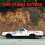 I Used To Be.. -Download - The Flesh Eaters 