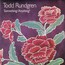 Something/Anything - Todd Rundgren Something/Anything - Todd Rundgren