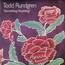 Something/Anything - Todd Rundgren