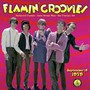 Live From The Vaillancourt Fountains: 9 - Flamin' Groovies
