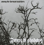 Among The Dormant Watchers - Forest Of Shadows