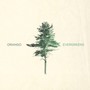 Evergreens - Orango