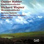 Mahler Kindertotenlieder - V/A