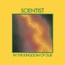 In The Kingdom Of Dub - Scientist In The Kingdom Of Dub - Scientist
